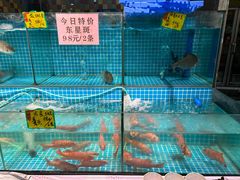 -石岐乳鸽村(南海第三分店)