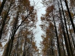 -山王坪喀斯特国家生态公园