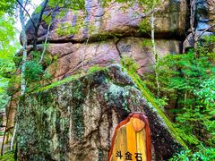 -汤旺河林海奇石景区