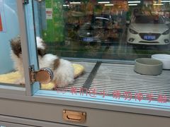 -FAELING PETS美天灵宠物(合生汇店)