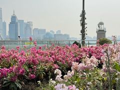 -北外滩滨江绿地