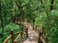 -大岭沟猕猴桃谷风景区