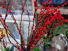 -大润发(梅兰东路店)