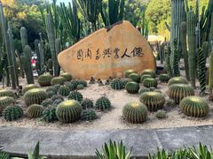 -深圳仙湖植物园