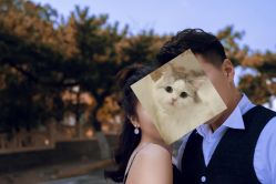 -青悠映画摄影工作室