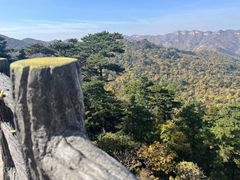 -大芦花风景区