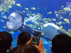 -华夏文旅海洋公园