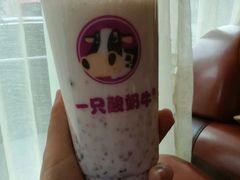 -一只酸奶牛(奎星楼店)