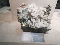 -中国地质博物馆