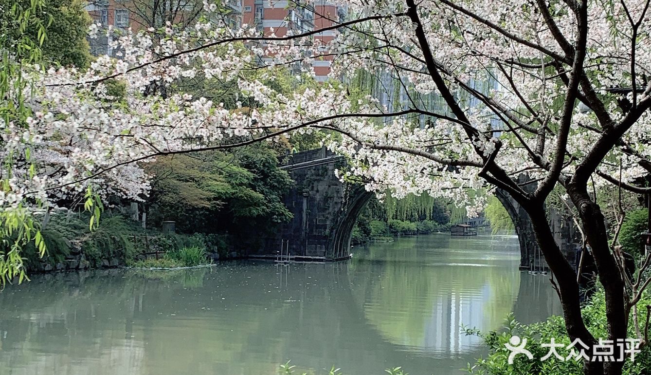 雨前再拍一次樱花｜葵巷