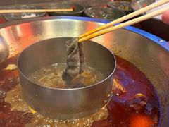-谭鸭血老火锅(日本东京店)