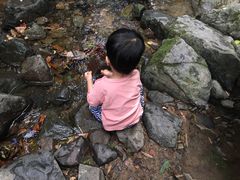 -藏龙百瀑风景区