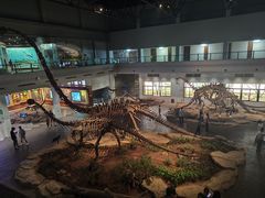 -自贡恐龙博物馆