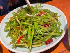 -菌自由丨野生菌火锅特色庭院餐厅(丽江古城店)