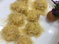 -丁老爷子苏香圆