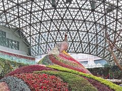 -花之城
