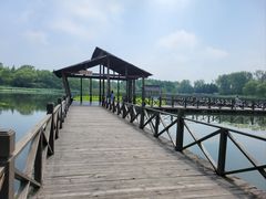 -溱湖国家湿地公园