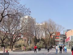 -双榆树公园