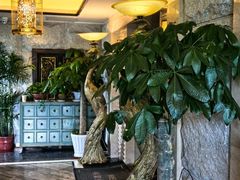 -樱蘭全息养生馆(三里屯店)