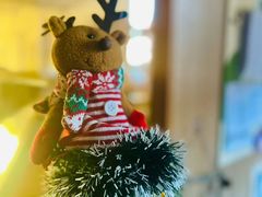 -世纪飞马幼儿园(西城校区)