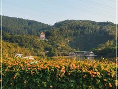 -水濂山森林公园