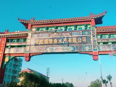 -烟墩角天鹅湖