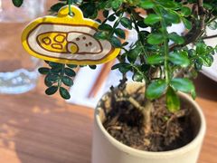 -CURRY YA 熟成咖哩專門店(深圳湾万象城店)