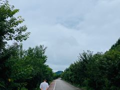 -云山屯古建筑群景区