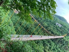 -川西竹海景区