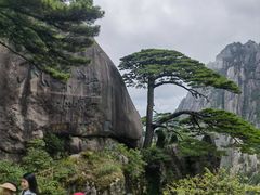 -黄山风景区