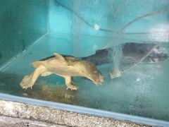 -联兴酒家