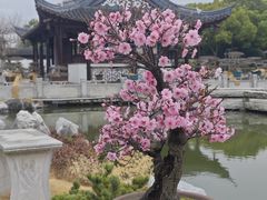 -泰州凤城河风景区-泰山公园