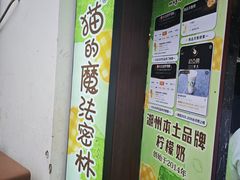 -猫的魔法密林(衣裳街店)