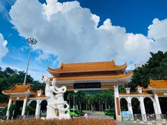 -深圳仙湖植物园