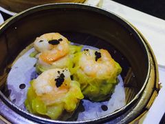 -糖朝(尖沙咀店)