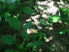 -长春市南湖公园