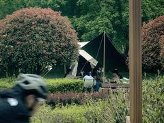 -洨河生态公园