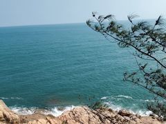 -广东惠东海龟国家级自然保护区