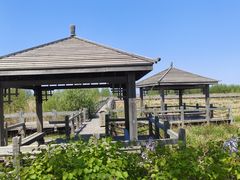 -东方饺子王(创始店)