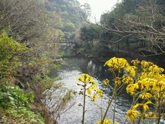 -龙头岩(Dragon Head Rock)