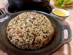 -蘑统田下·野生菌火锅