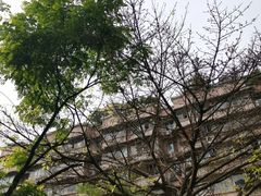 -周三的情书花园餐厅(江北店)