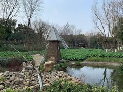 -圩墩遗址公园