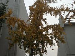 -北京信息科技大学(小营校区)