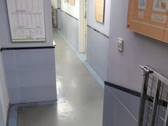 -渲嗳动物医院(异宠·复杂内科转诊中心·玖洲道富华里分院)
