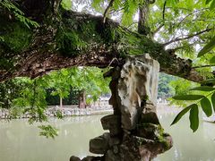 -汇龙潭