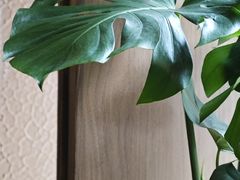 -SeekSeeking咖啡专门店(堰塘街店)