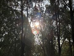-云龙山