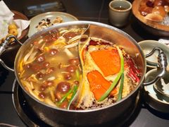 -季季山·云南野生菌火锅(上海首店)