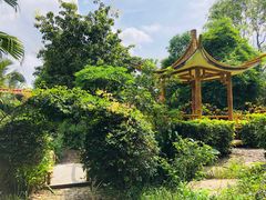 -大屏嶂森林公园